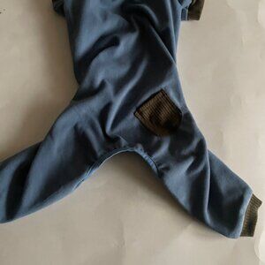 Blue Fleece Dog Pajama Onesie